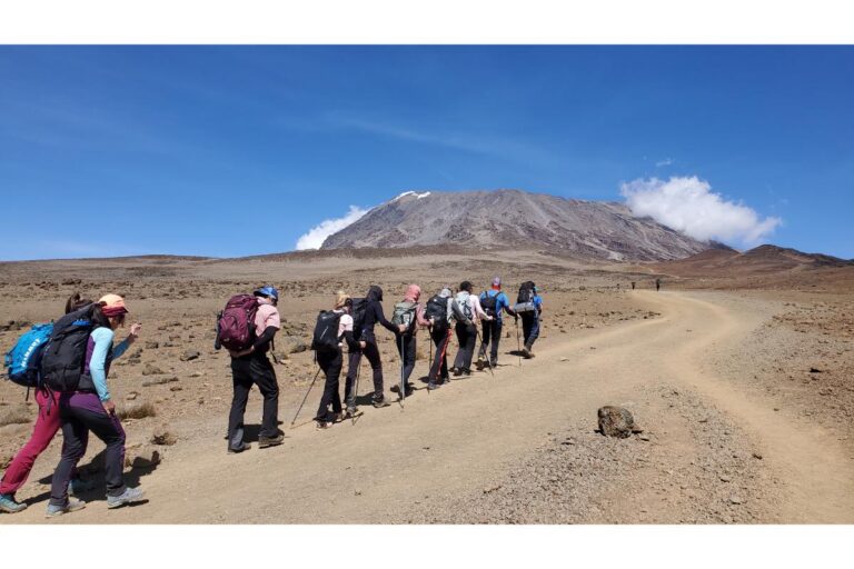 8-Day Lemosho Route – Kilimanjaro Climb