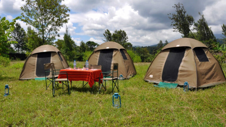 3 Days Budget Camping Safari in Tarangire, Ngorongoro & Lake Manyara