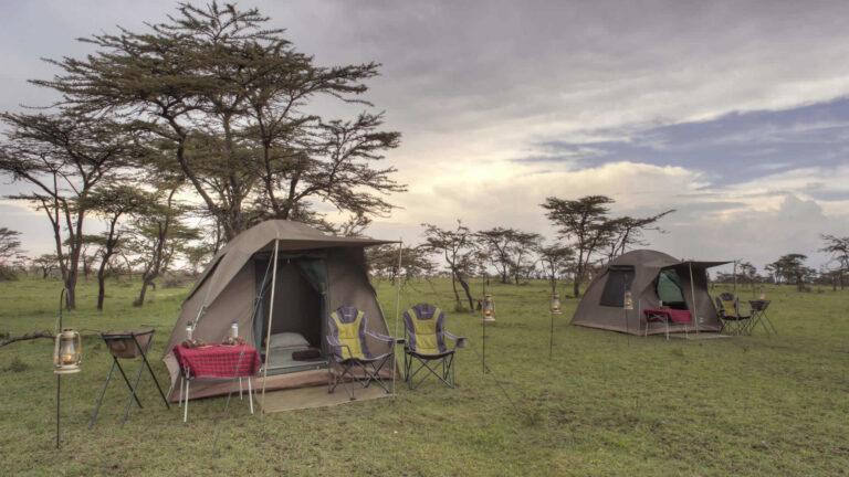 5 Days Northern Circuit Camping Safari in Tanzania