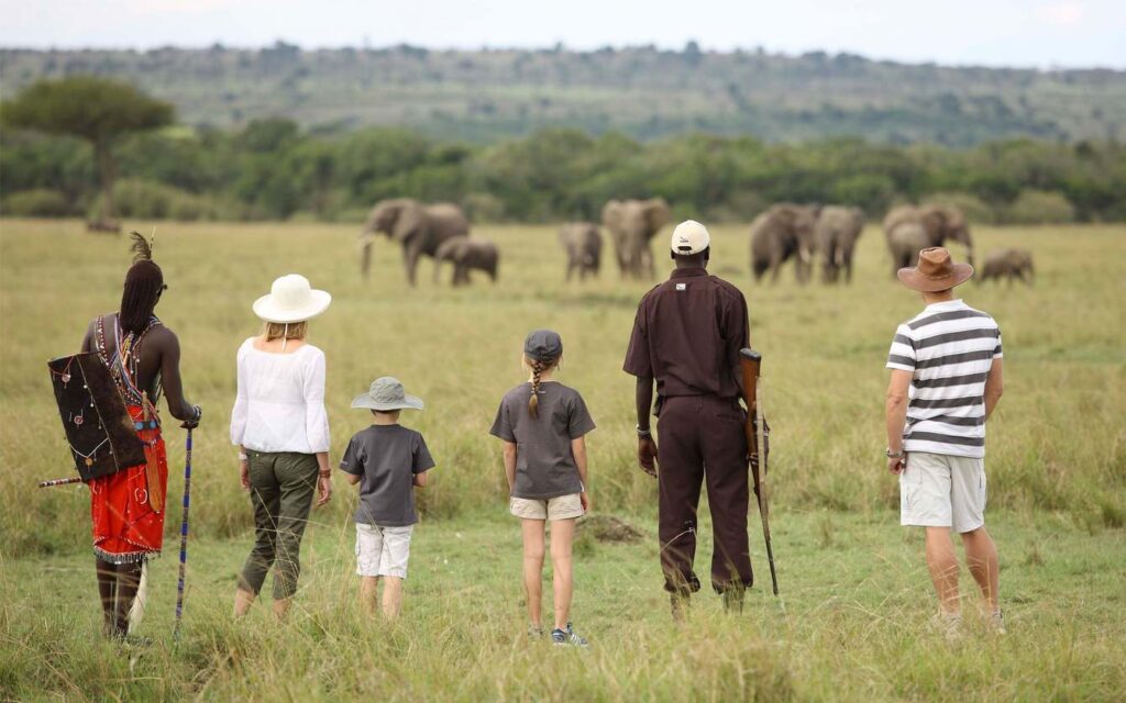 7-Day Family Wildlife Adventure