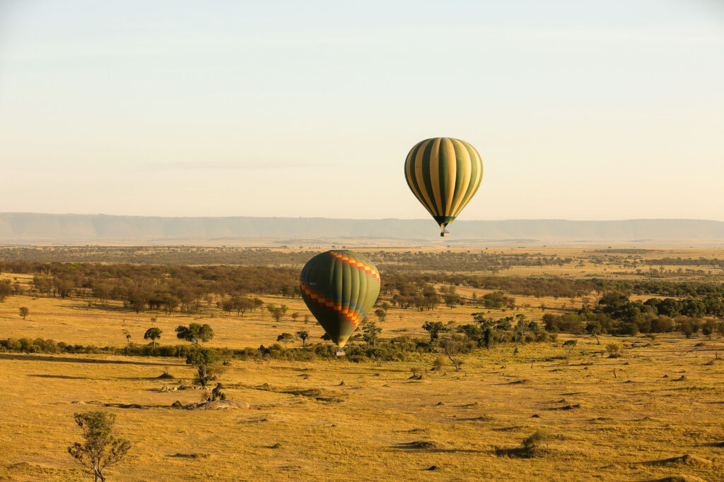 5-Day Luxury Tanzania Safari