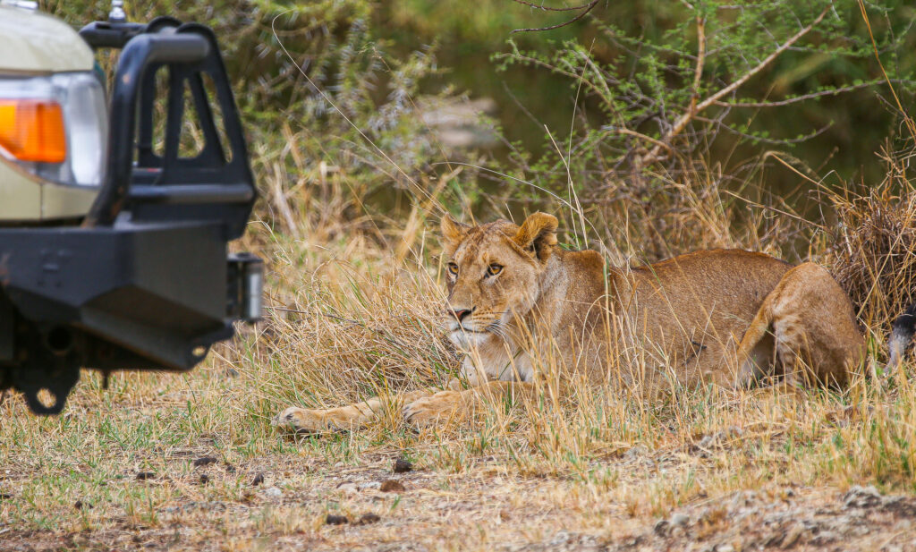 3-Day Serengeti & Ngorongoro Safari