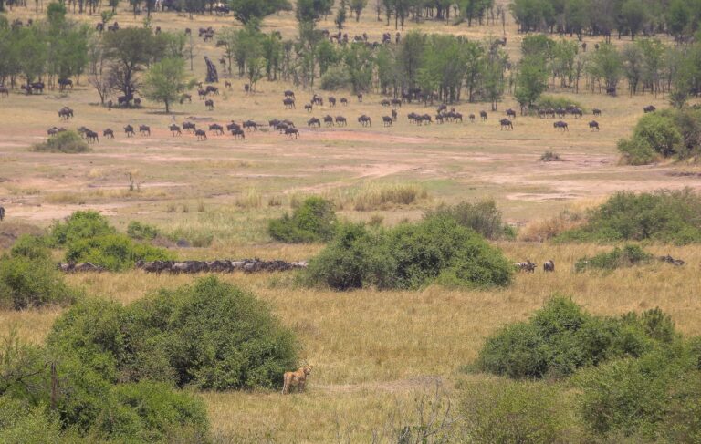 10-Day Ultimate Tanzania Safari