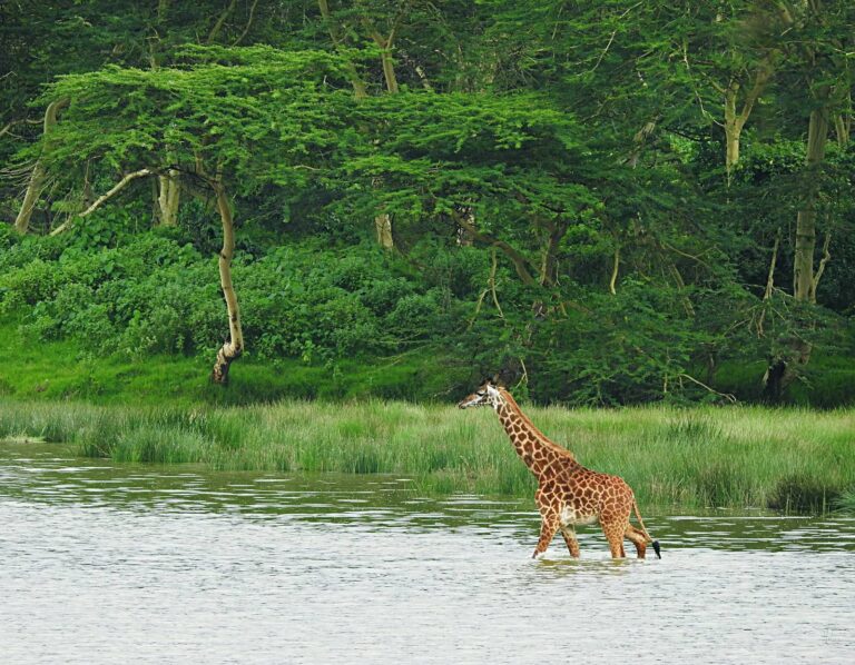 8-Day Southern Tanzania Explorer