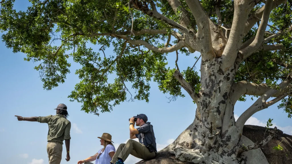 12-Day Luxury Wildlife & Beach Safari