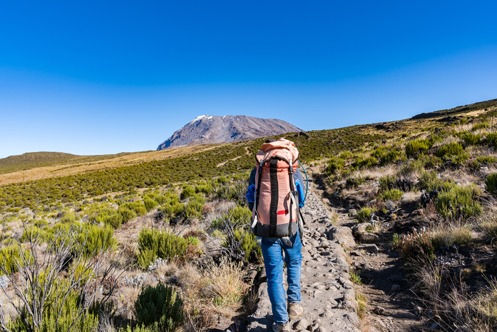 8-Day Lemosho Route Kilimanjaro Climb