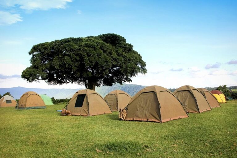 7 Days Serengeti Wildebeest Migration Camping Safari