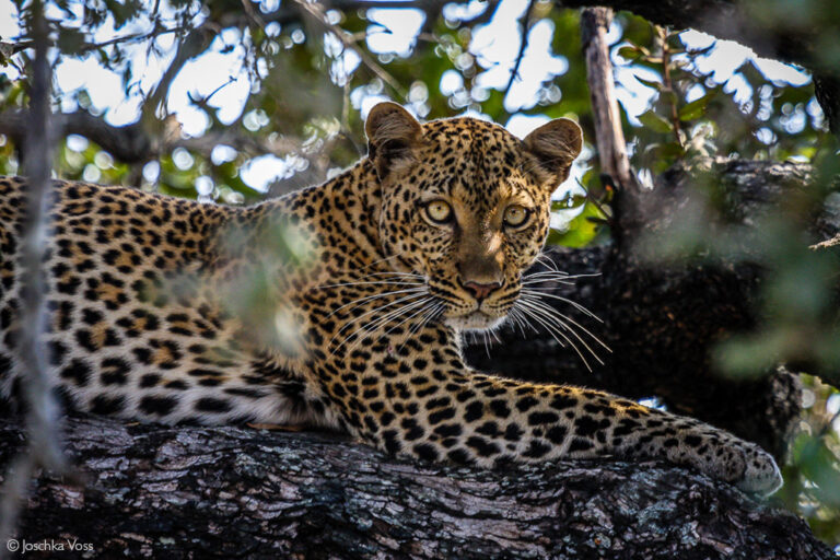 7-Day Tanzania Safari & Zanzibar Holiday