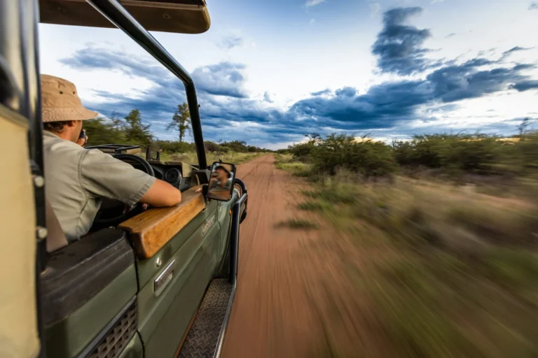 10-Day Premium Tanzania Safari