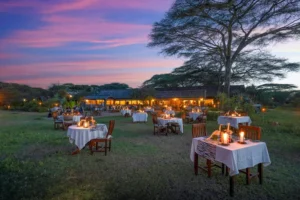 Ndutu Safari Lodge