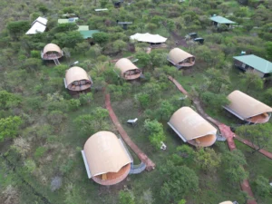 Tanzania Wild Camps